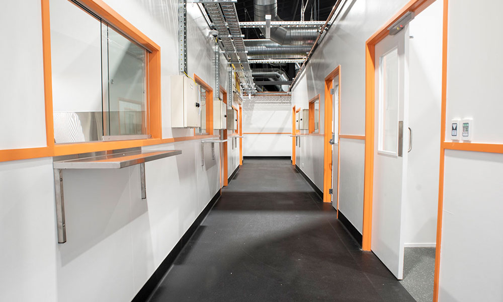 The Kitchen Collective – Where Vision meets Commercial Kitchen Innovation